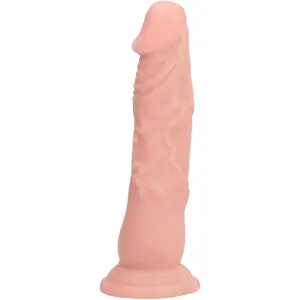 Comparateur de prix : Dildo Realistic avec Ventouse 19 x 4.5 cm Chair 