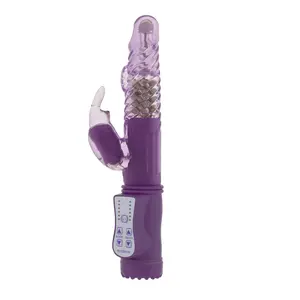Comparateur de prix : Vibro Rabbit rotatif VIBE COIN 23cm Violet 