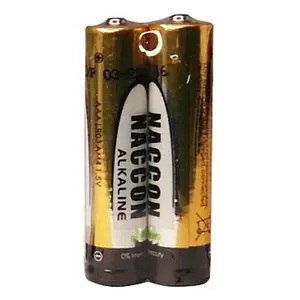 Lot de 2 piles LR03 (AAA) pas cher