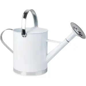 Comparateur de prix : ESSCHERT DESIGN Arrosoir en zinc blanc 5 litres