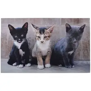 Esschert Design - Tapis Chats 76 x 46 cm : le Choix Idéal