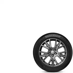 Vredestein Ultrac Pro XL FSL 325 35 22 Y 114 Summer