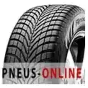 Apollo Alnac 4G Winter 195/65 R15 95H pas cher