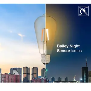 Comparateur de prix : Bailey | LED Ampoule Sensor Jour/Nuit Edison | E27 | 4W (remplace 40W) Or