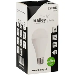 Bailey | LED Ampoule | E27 | 20W pas cher