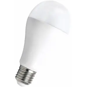 Ampoule à led Bailey ecobasic led - culot e27 - 20w - a65 Bailey 142597 pas cher