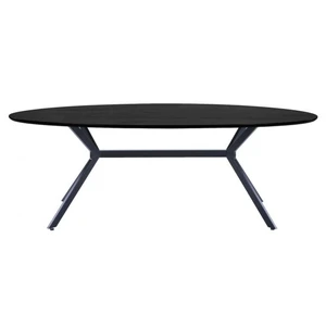 WOOOD Table à manger ovale en MDF noir 6 personnes, 220x100 cm pas cher