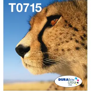 Comparateur de prix : Cartouche EPSON T0715 Guepard Cartouches dencre Multipack C M J N TU