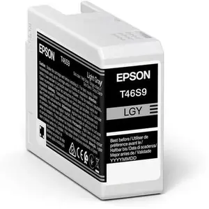 Comparateur de prix : Epson UltraChrome Pro cartouche d'encre 1 pièce(s) Original Gris clair