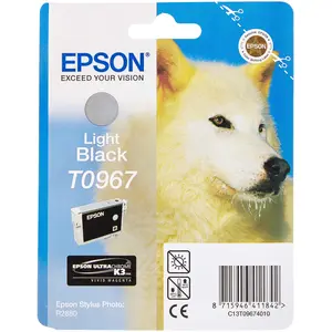Epson T0967 Cartouche d'encre d'origine Gris Amazon Dash Replenishment est prêtVendu parkaufland