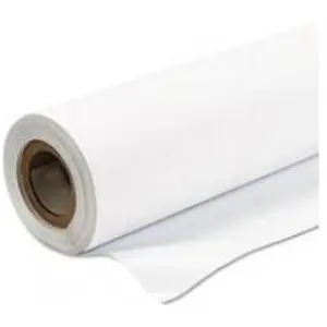 ### modèle du produit : epson production poly textile b1(290) 1067mm x 30m 1 rouleau pack de 1 C13S045304 pas cher