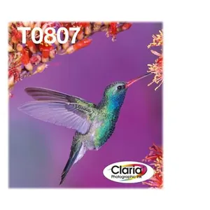 Comparateur de prix : Epson Cartouche d'encre originale C13T08074510 Multicouleur TU
