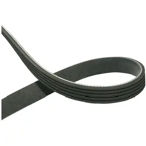 KAVO PARTS DMV-1031 Courroie Poly-V pas cher