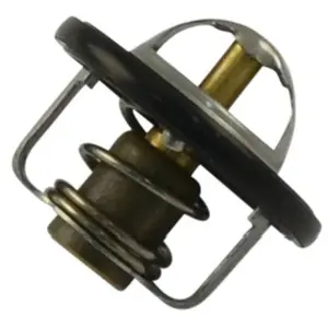 Thermostat d'eau TH-1001 Kavo parts TH1001 pas cher