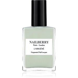 Comparateur de prix : Nailberry - To The Moon & Back Vernis à ongles 1 pieces Argent female