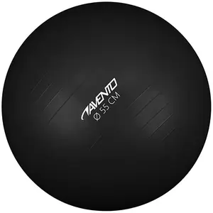Comparateur de prix : Avento Ballon de fitness/d'exercice Diamètre 65 cm Noir