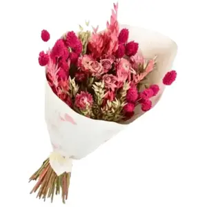 Comparateur de prix : NATURALYS Bouquet de fleurs séchées trendy Pink 50 cm