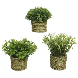 Comparateur de prix : Kaemingk plante décorative basic home artificielle corde vert 16 x 3 cm