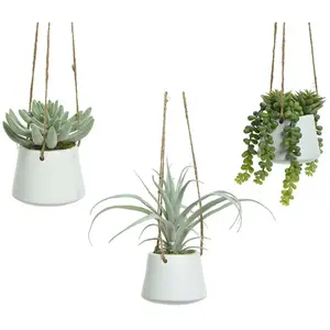 Comparateur de prix : BigBuy Home Plante Grasse Artificielle Suspendue Modèles Variés 800073