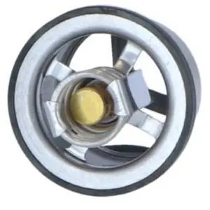 Thermostat d'eau NRF 725020