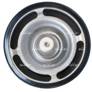 Thermostat NRF 725013
