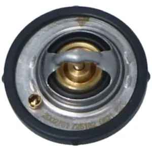 Comparateur de prix : NRF B.V. Thermostat d'eau pour FORD: Focus, Puma (Ref: 725182)