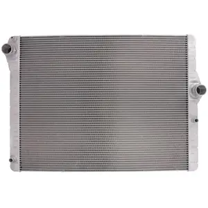 Radiateur, refroidissement moteur NRF 550134 pas cher