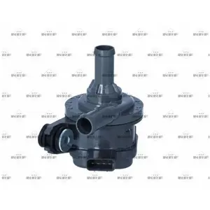 Pompe à eau additionnelle NRF 390067 pas cher