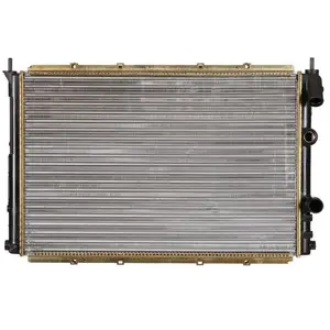 NRF Radiateur, refroidissement du moteur Economy Class 509503A pas cher