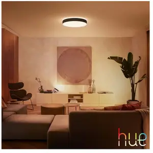 Comparateur de prix : Philips Hue White Ambiance Plafonnier Enrave XL, Noir