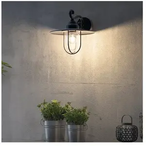 Comparateur de prix : PASTURE-Applique d'extérieur Descendante Métal H30cm Noir Philips