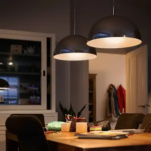 Ampoule LED - PHILIPS - E27 - 7 W - 60 W - Blanc chaud - Globe 12.5 cmVendu parluminaire