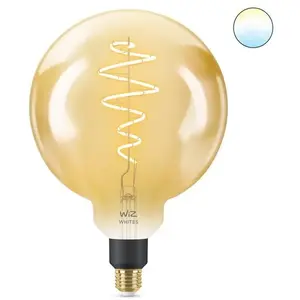 Comparateur de prix : WiZ Ampoule connectée Globe géant vintage Blanc variable E27 25W