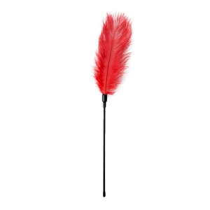 Comparateur de prix : EasyToys Fouet à plumes rouge
