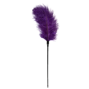 Comparateur de prix : EasyToys Fouet à plumes violet