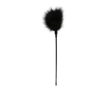 Comparateur de prix : EasyToys - Long plumeau pour chatouille - Noir