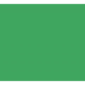 Digixo Fond Papier de Studio 1,36 x 11m - Chroma Green
