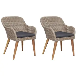VIDAXL Chaises d'extérieur avec coussins 2 pcs Résine tressée Marron pas cher