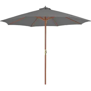 vidaXL Parasol d'extérieur avec mât en bois 300 cm Anthracite pas cher