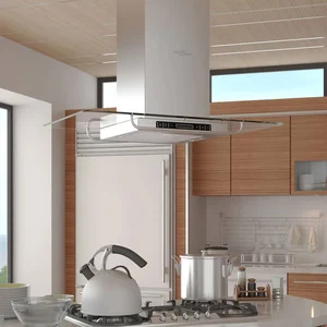 VidaXL - Hotte - hotte îlot - largeur : 90 cm - profondeur : 54 cm - inox et verre pas cher