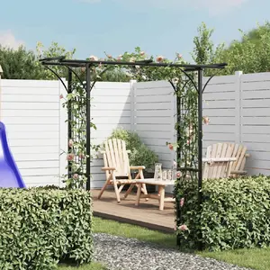 Comparateur de prix : Arche de jardin en métal noir VIDAXL - 200 x 52 x 204 cm
