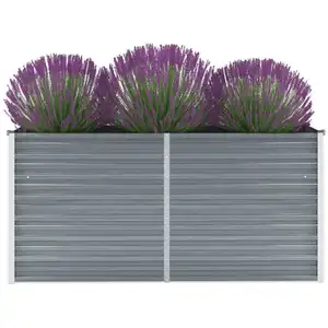 vidaXL Lit surélevé de jardin Acier galvanisé 160x40x77 cm Gris