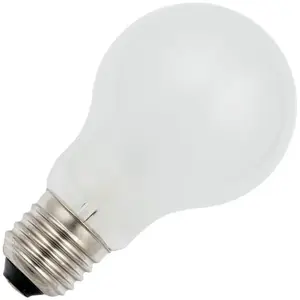 SPL | Ampoule à Incandescence 130V | E27 | 60W DépolieVendu parampoulepascher