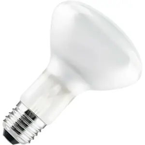 Ampoule à Incandescence Réflecteur | E27 | 100W Dépolie pas cher