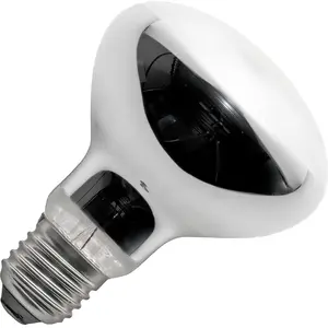 Schiefer SPL | halogène Ampoule R/lampe à réflecteur | E27 | 70WVendu parampoulepascher
