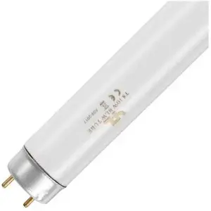 SPL | tube fluorescent | raccord G13 | T8 | 10W | lampe UV pour insectes | 33cmVendu parampoulepascher