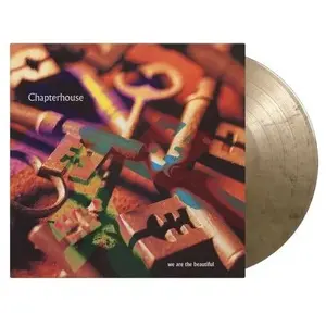 Comparateur de prix : We are The Beautiful/EP/Vinyle Or et Noir Marbre Audiophile 180gr