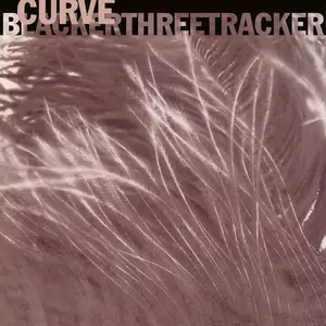 Comparateur de prix : BlackerThreeTracker [12 inch Coloured Vinyl]