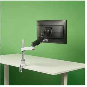Comparateur de prix : R-Go Bras d'ecran unique Caparo kit de montage - pour ecran LCD - argent