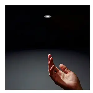 Bianemo Elys Eterna Point Spot de plafond encastrable, LED, EL1120792363, pas cher